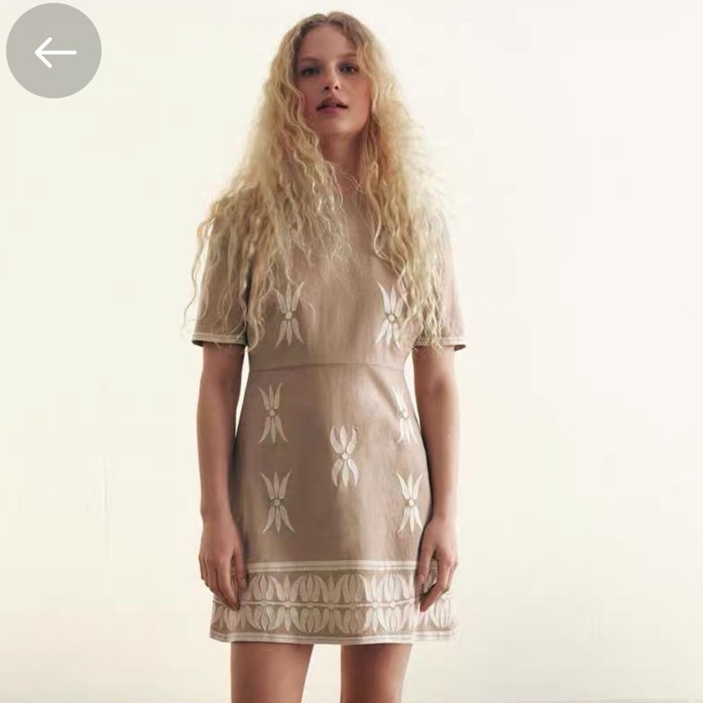 Zara Embroidered Tan Mini Dress XL - Picture 5 of 13